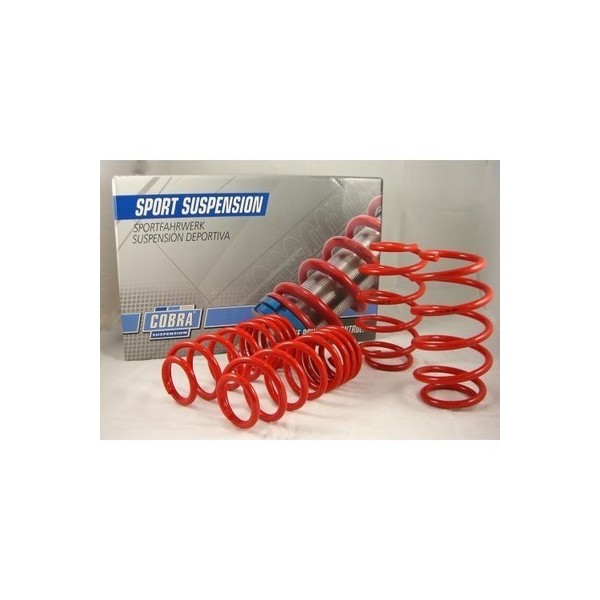 Audi A4 Avant Quattro B6|B7|8E Avant 09/2001-2008 45Mm Fr 30Mm Rear