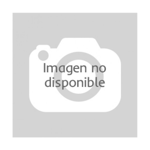 Escape trasero inoxidable grupo-n(2Ø73) RENAULT MEGANE II  SPORT 2.0i RS TURBOSPORT 04-09 225CV MºF4R 27