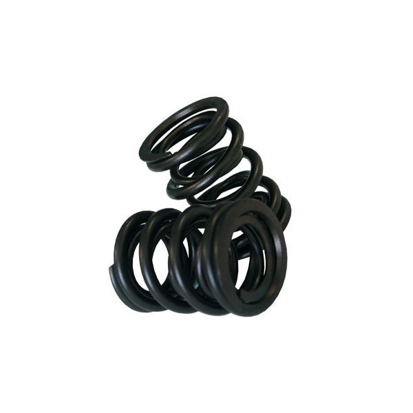 KIT DE MUELLES DE VÁLVULAS Nissan moteur VQ35
