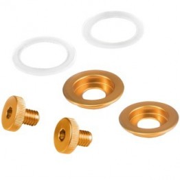 TORNILLOS ST5 VISERA DORADO