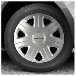 TAPACUBOS SEPANG PLATA 14"