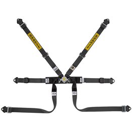 ARNES SABELT STEEL FORMULA BASIC NEGRO