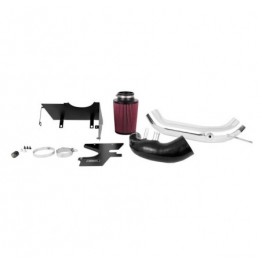 Ford Mustang Ecoboost Performance Air Intake, 2015+, Polished