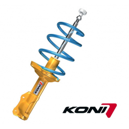 Acura Rsx 02_06 KONI