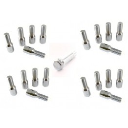KIT 20 TORNILLOS  CORTO ALLEN PLATA