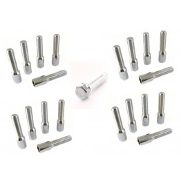 KIT 20 TORNILLOS LARGO ALLEN PLATA