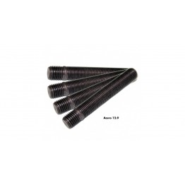 ESPARRAGOS SPARCO 100MM